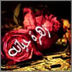 ������ ������� ����� �����